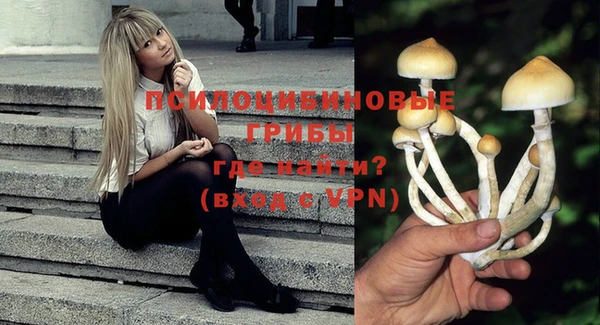 а пвп мука Алзамай