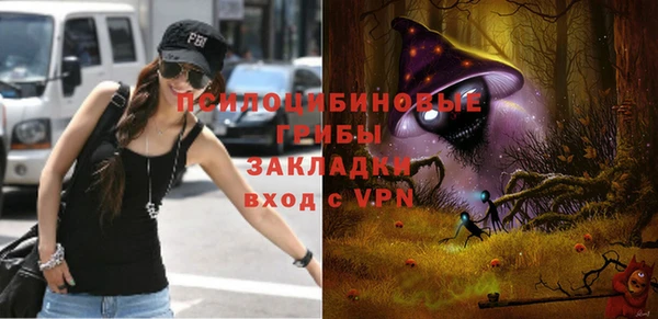 МДПВ Алексеевка