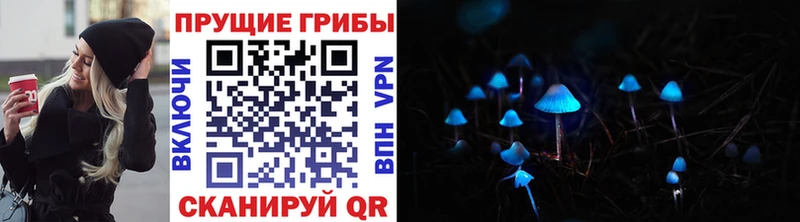 Псилоцибиновые грибы мухоморы  mega tor  Архангельск 