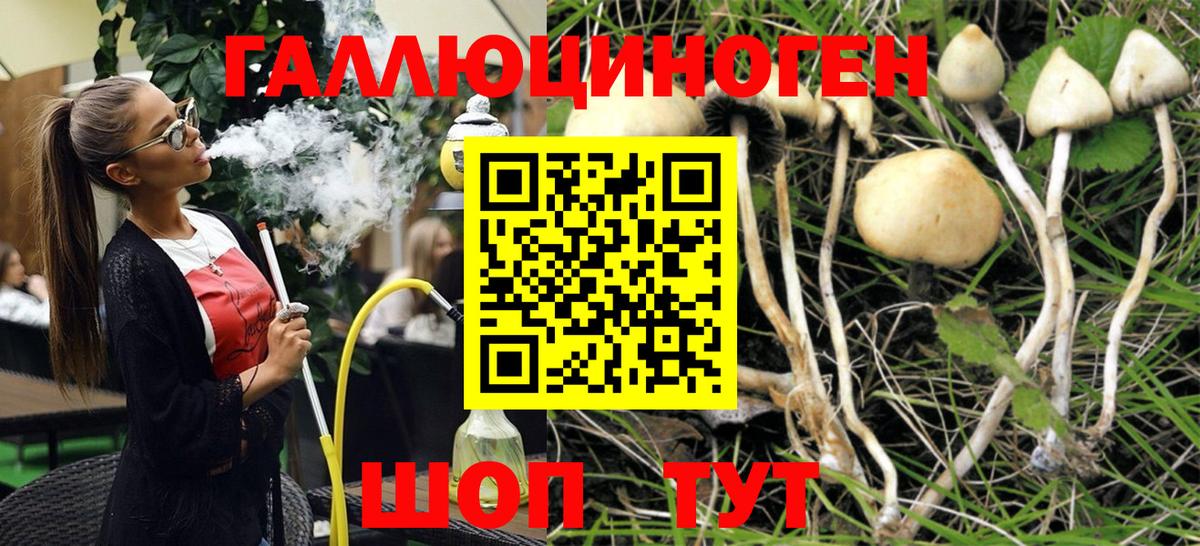 Галлюциногенные грибы ЛСД Архангельск