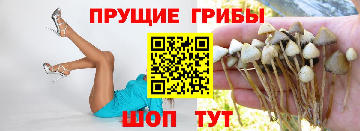 Галлюциногенные грибы GOLDEN TEACHER  Вход с VPN  Архангельск 